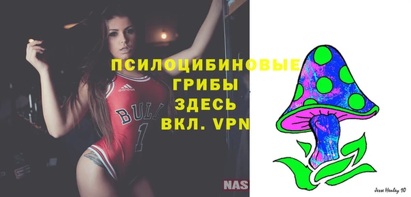 прущая мука Армянск