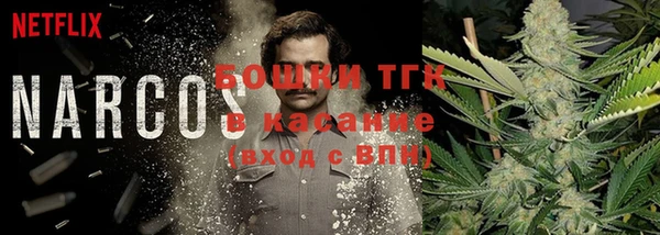 мет Арсеньев