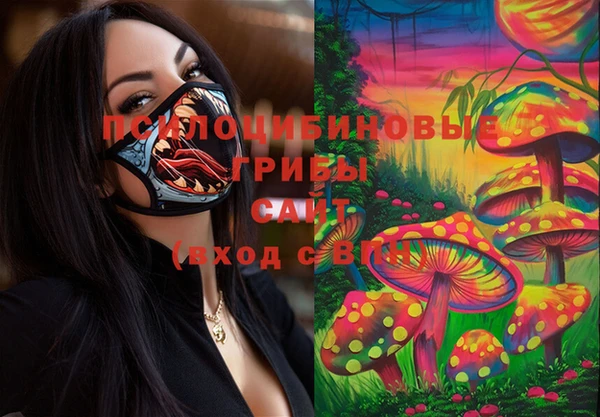 мет Арсеньев