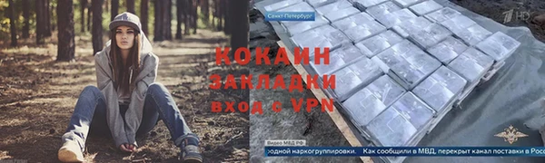 мет Арсеньев